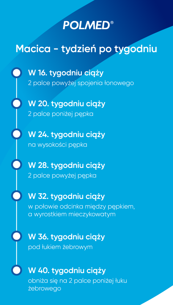 Jak zmienia się macica w ciąży?